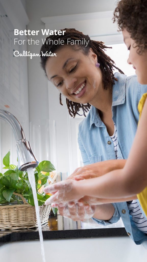 Portable Water Softener Exchange Service